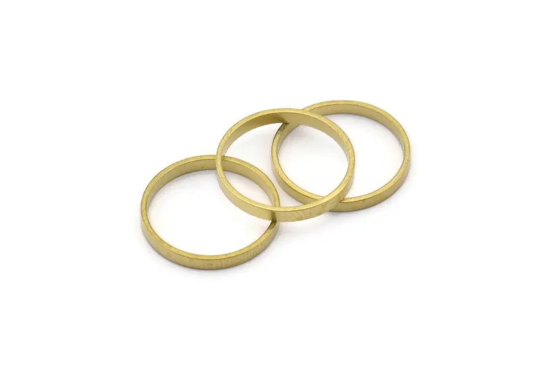 17x2mm Circle Connectors - 50 Raw Brass Circle Connectors (17x0.8x2mm) D0309