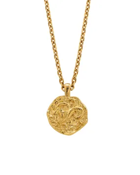 Capricorn Necklace Gold