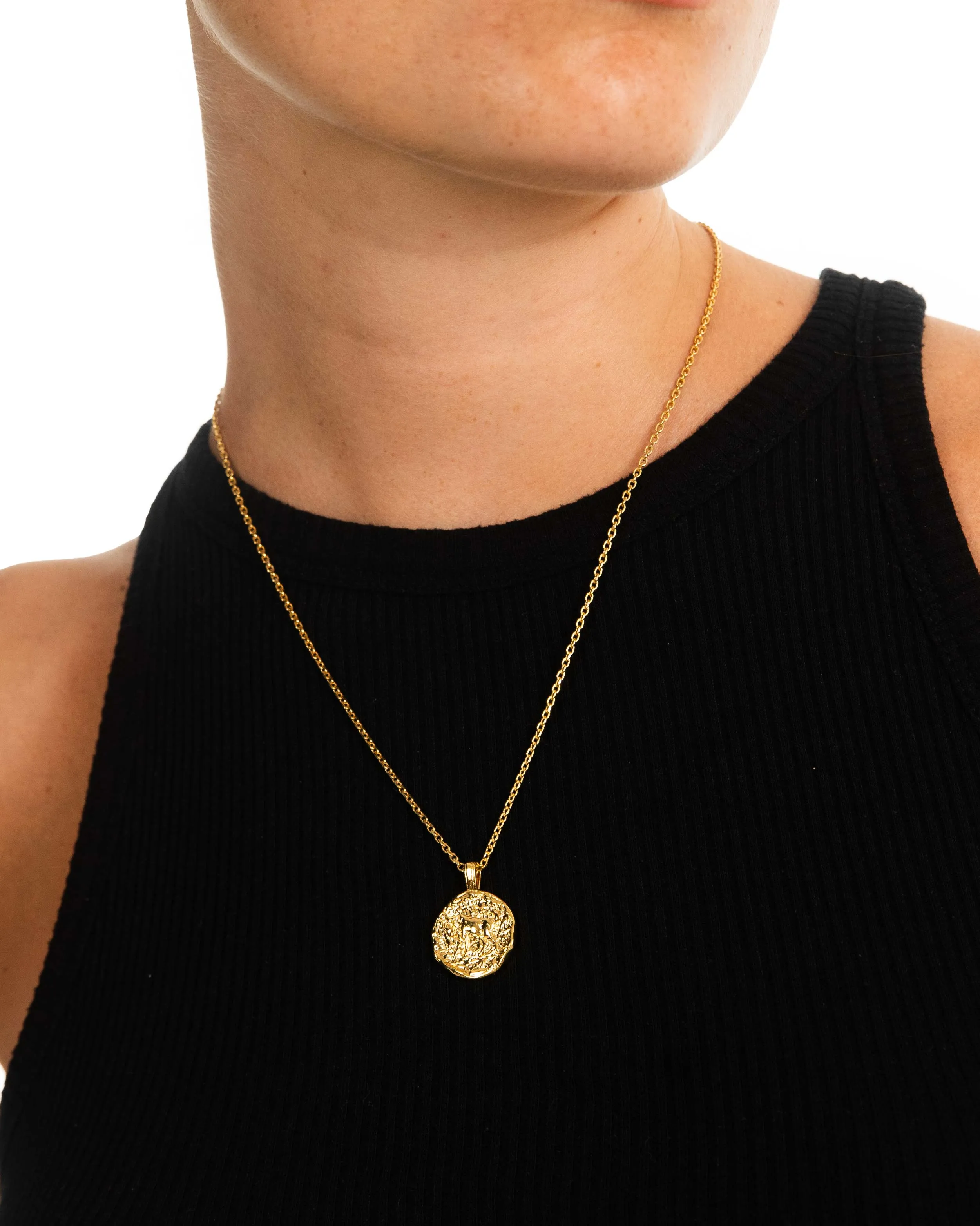 Capricorn Necklace Gold