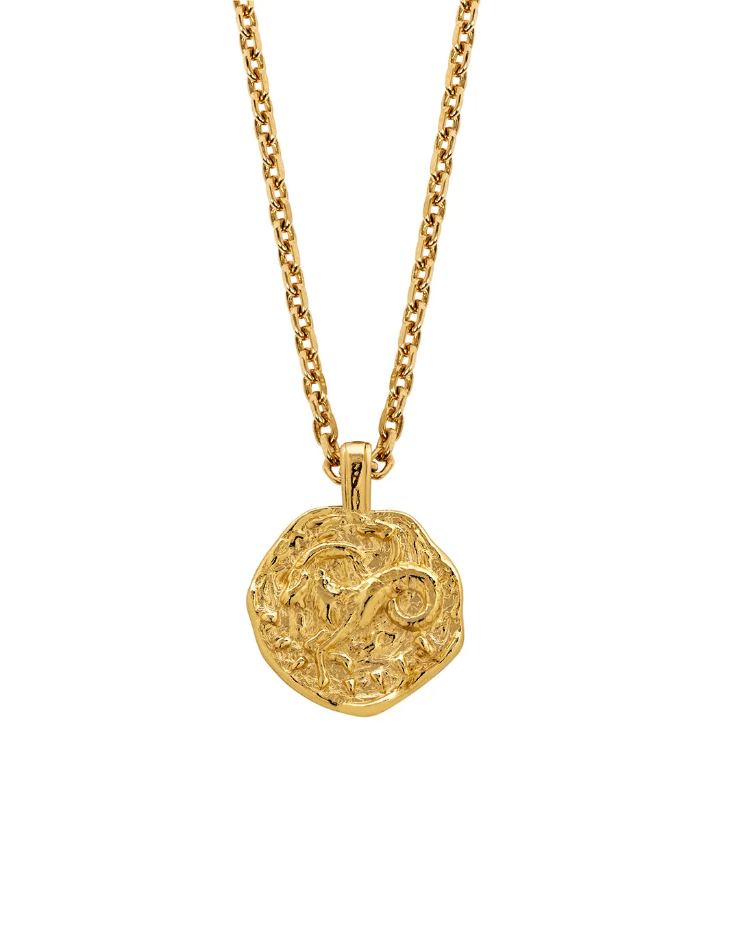 Capricorn Necklace Gold