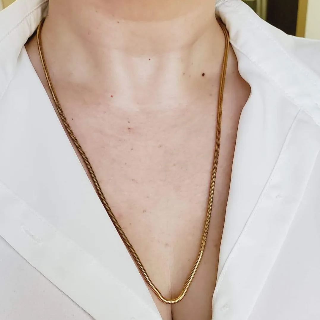 Cassie Golden Snake Necklace