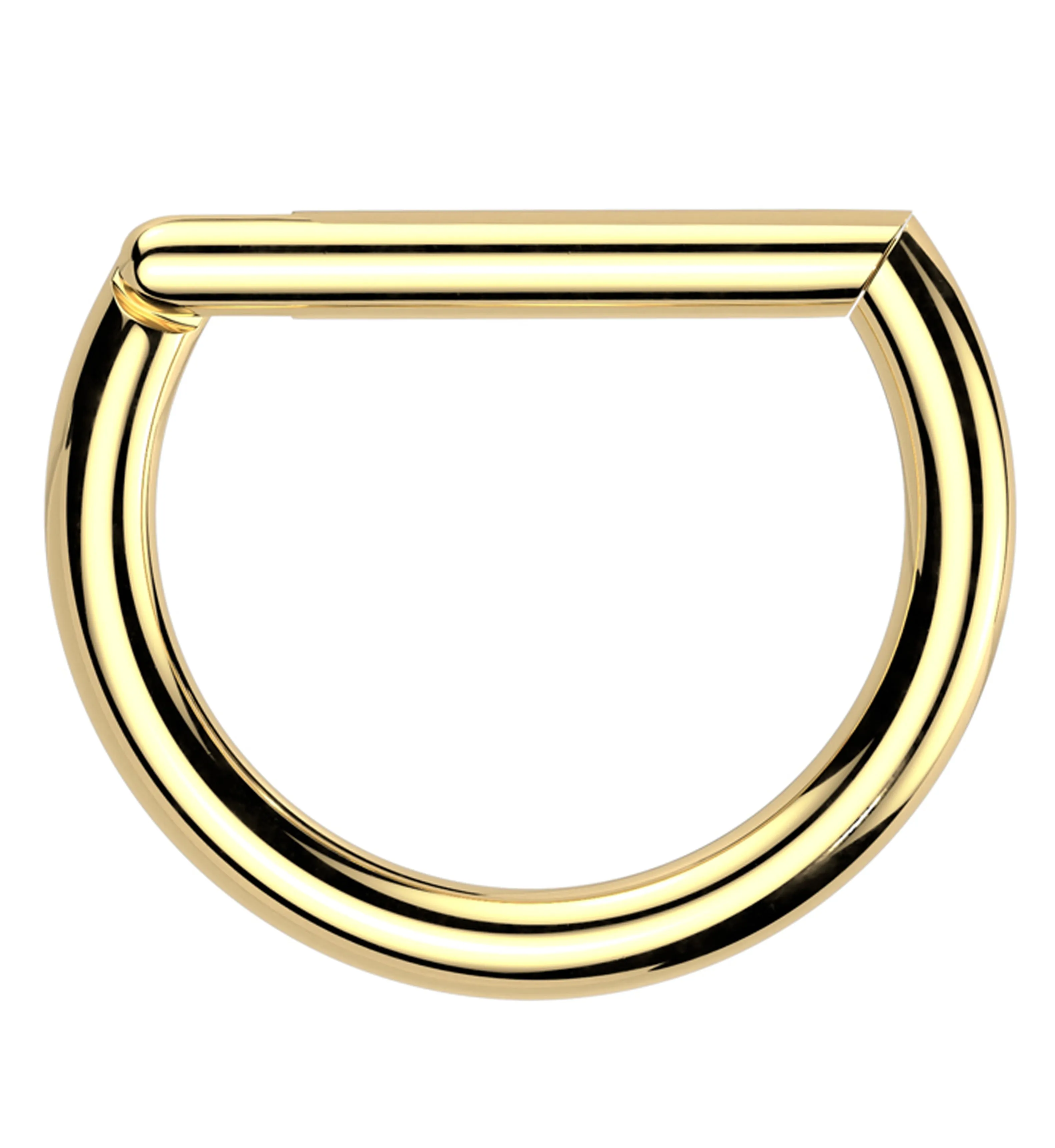 Gold PVD Titanium D-Shaped Hinged Segment Ring