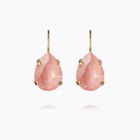 Mini Drop Clasp Earrings / Flamingo Ignite