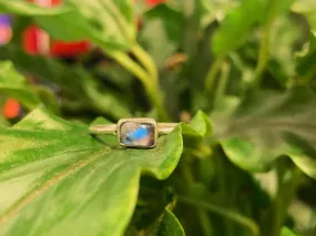 Moonstone Akoni Ring - XSmall Rectangle