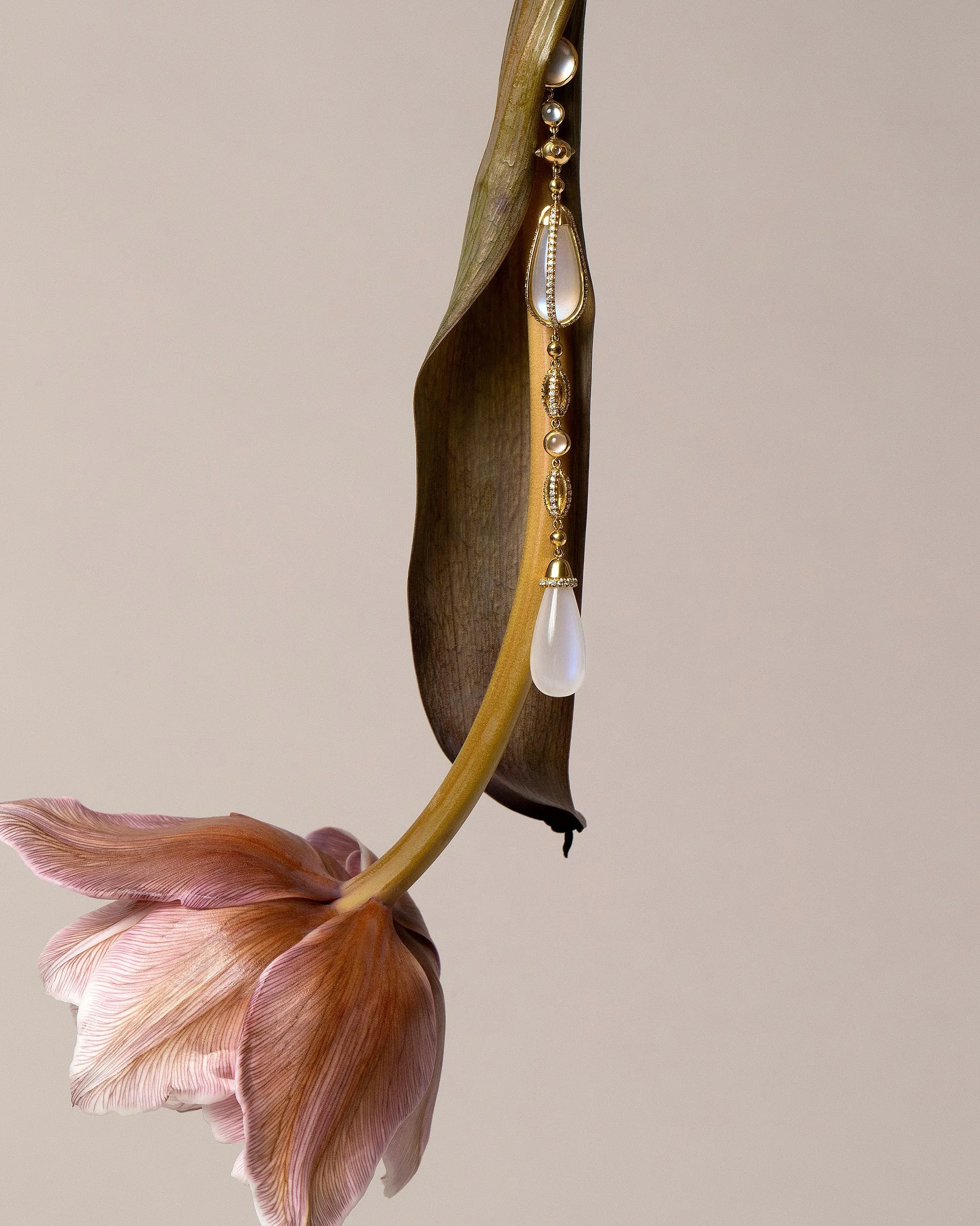 The Future Moonstone Drop Earrings